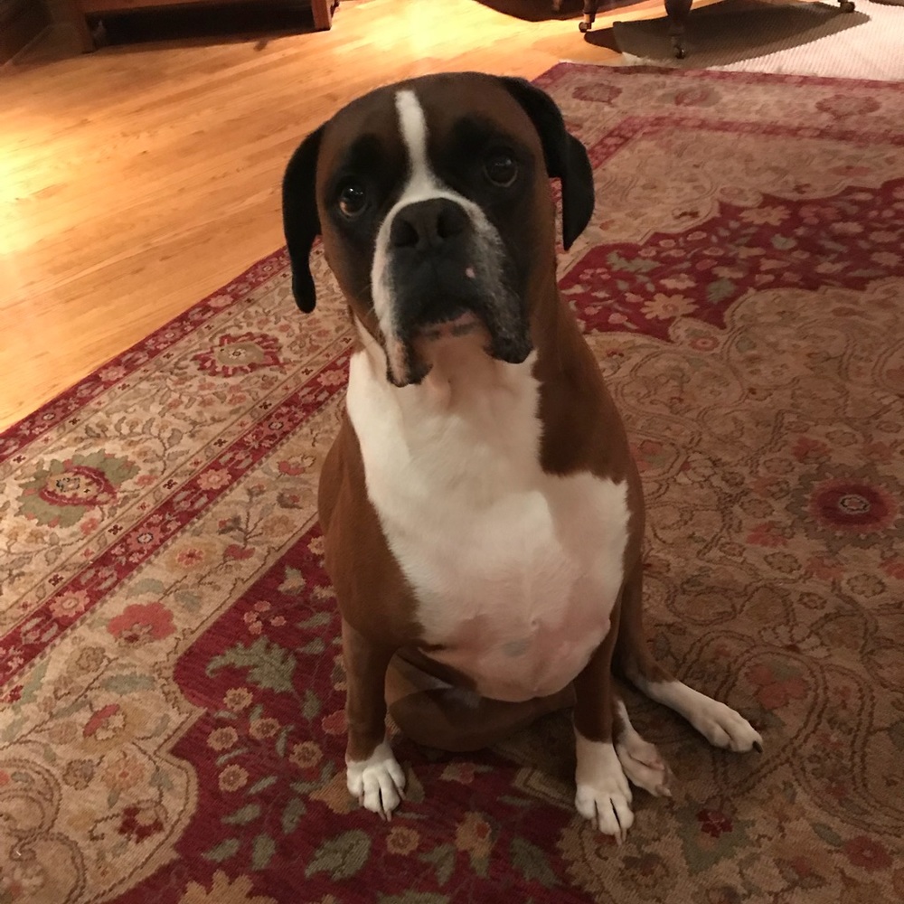 Meet your Posher, Deanna